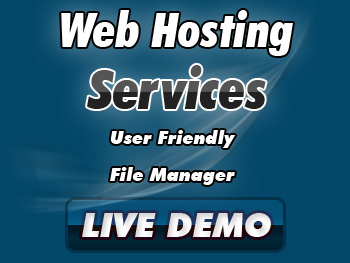 Web Hosting